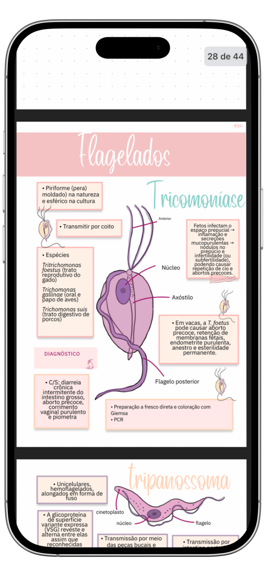Resumo Completo de Parasitologia Veterinária - página 4