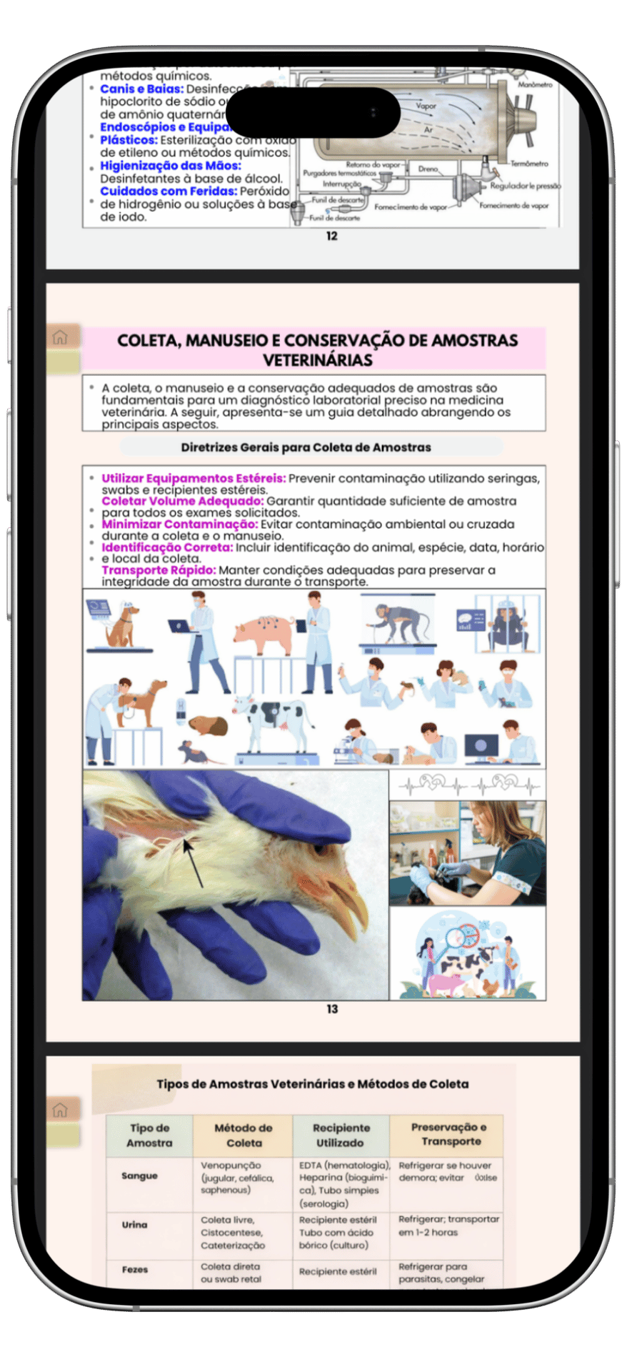 Material de laboratório em Parasitologia Veterinária - página 3