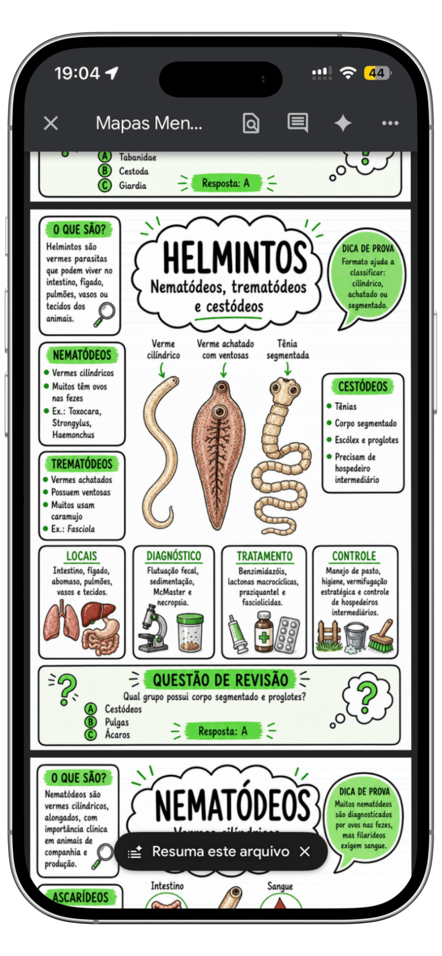 Mapa mental de Parasitologia Veterinária